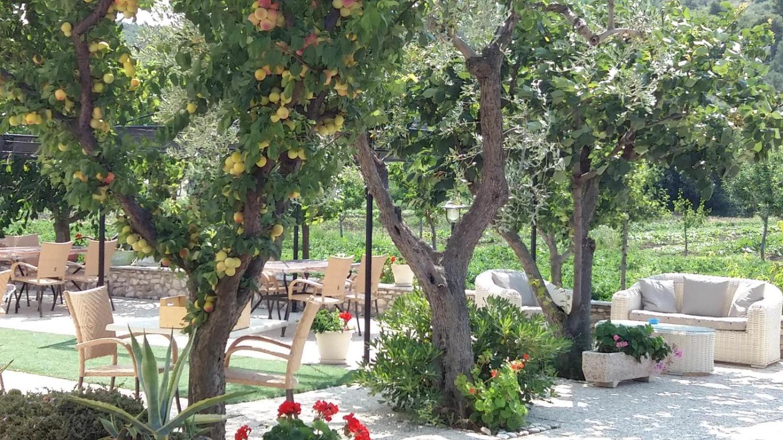 Il Gelso Bianco Hotel Vieste Luaran gambar